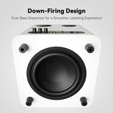 Fosi Audio SW10 Active Subwoofer